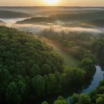 Padure verde luxurianta la rasarit