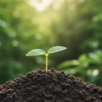 Planta verde rasarind concept ecologic